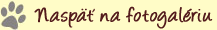 Nasp�t na fotogal�riu
